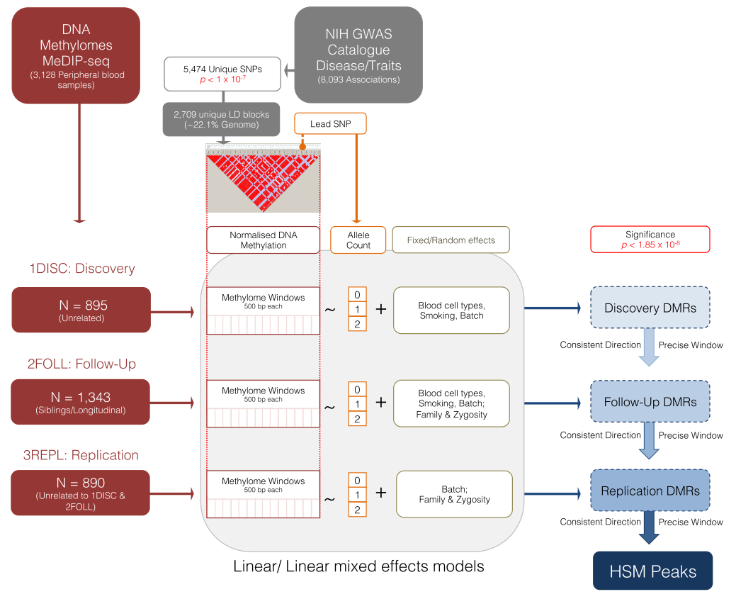 Figure 1 Study Design